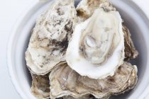 Oyster shells in bowl over white background — Stock Photo