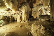 Внутри пещеры со сталактитами — стоковое фото