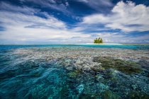 Calma agua clara del océano - foto de stock