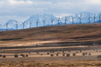Вітрові турбіни поспіль — стокове фото