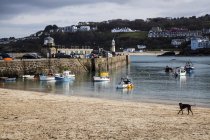 St. Ives harbour — Stock Photo