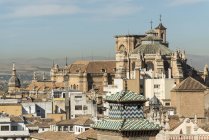 Schöne Aussicht auf die Kathedrale von Granada — Stockfoto