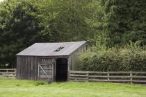 Cobertizo de madera, Northumberland, Inglaterra - foto de stock