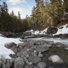Cours d'eau de montagne à Whistler — Photo de stock
