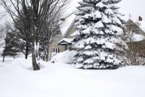 Escena de invierno con casa - foto de stock