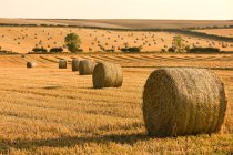 Rural scene of Hay Bales — Stock Photo
