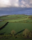 Vista panoramica dei terreni agricoli — Foto stock