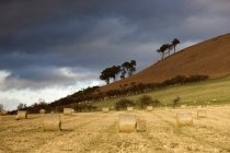 Hay Bales In Field — Stock Photo
