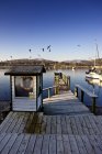 Dock In Lake Harbor — Stock Photo