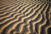 Zanzibar, Tanzanie ; Motifs de sable — Photo de stock