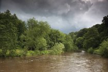 Fluss und Bäume unter stürmischem Himmel — Stockfoto