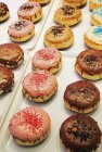 Donuts helados en exhibición - foto de stock
