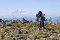 Backpacker перед Mount Rainier, Гора Адамс, штат Вашингтон, США — стокове фото