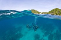 Vista panorámica de buceadores nadando bajo el agua - foto de stock