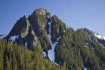 Tatoosh гори, Mount Rainier Національний парк — стокове фото