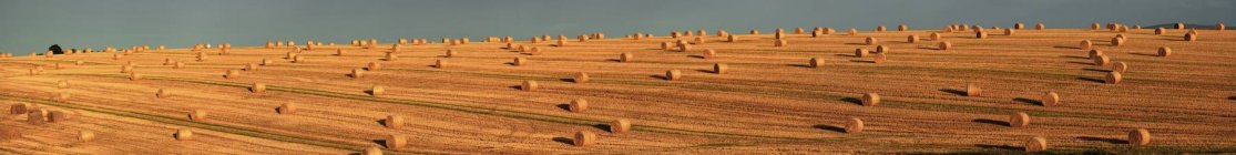 Hay Bales After Harvest — Stock Photo