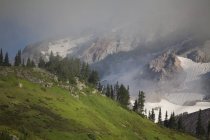 Bassa nube sdraiata nel parco nazionale di Mount Rainier — Foto stock