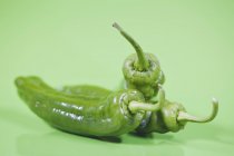 Три зелений Chilis — стокове фото