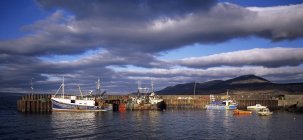 Bateaux de pêche dans le port de Carradale — Photo de stock
