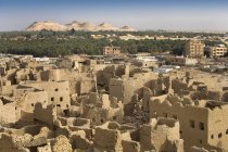 Shali фортеця, міста Siwa — стокове фото