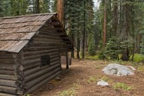 Parque Nacional Sequoia, Califórnia — Fotografia de Stock