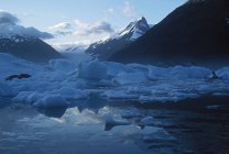 Icebergs, Portage Lake — Stock Photo