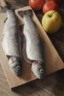Two Rainbow Trout — Stock Photo