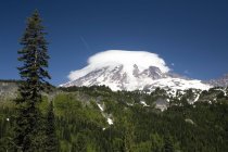 Mount Rainier, Mount Rainier Nationalpark — Stockfoto