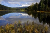 Lago Trilium, Oregon Cascades - foto de stock