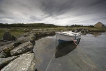 Barca legata alla riva — Foto stock