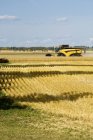 Комбинированная уборка пшеницы — стоковое фото