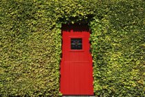 Traditional Irish Door — Stock Photo
