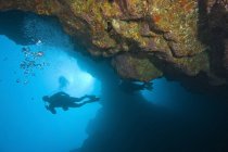 Vue panoramique de plongeurs sous-marins nageant sous l'eau — Photo de stock