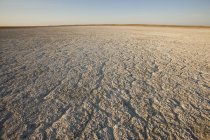 Terra seca atingindo o horizonte — Fotografia de Stock