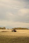 Tractor Ploughing Field After Harvesting — Stock Photo