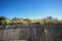 Wooden Fence with trees — Stock Photo
