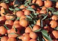 Montón de naranjas con hojas - foto de stock