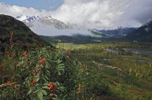 Tempête de déneigement en Alaska — Photo de stock