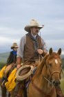 Cowboys On Horseback, Southern Alberta, Canada — Stock Photo