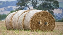 Boots Sticking Out Of Hay Bales — Stock Photo