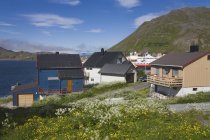 Будинки в порт Honningsvag, Mageroya острів — стокове фото