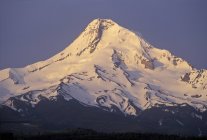 Mount Hood, Oregon, Usa — Stock Photo