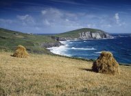 Meeresküste, schlafender Kopf, Irland — Stockfoto