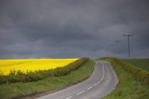 Rural Road; North Yorkshire, England — Stock Photo