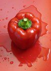 Pimienta roja en la superficie roja - foto de stock