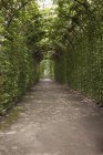 Садовая дорожка в окружении арки — стоковое фото