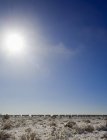 Зимова сцена з поїздом на відстані — стокове фото