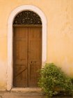 Old wooden door — Stock Photo
