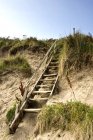 Passos que conduzem acima da duna — Fotografia de Stock
