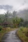 Bali, indonesien; ländliche straße — Stockfoto
